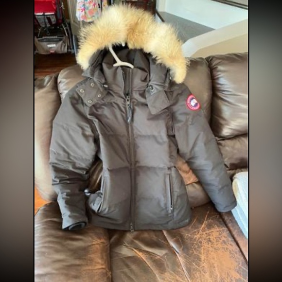 Brand new Canada goose Chelsea jacket. - Picture 2 of 3